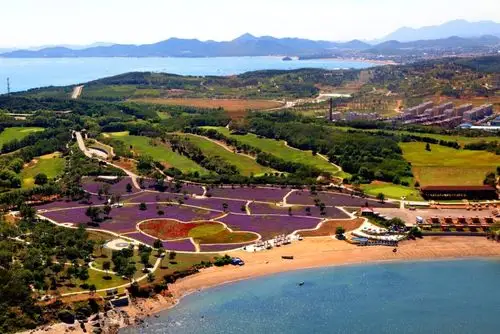 金石滩心悦岛最强图文介绍——游玩攻略! - 大连北方国旅网