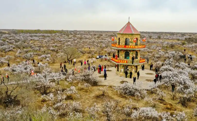 "湿地村色·乡约白城"白城市2023年乡村旅游季暨第十七届包拉温都杏花