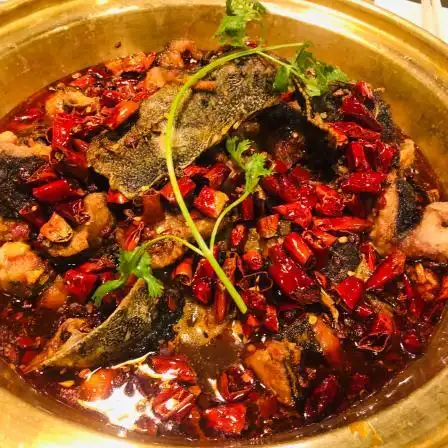 涿派炝锅鱼(范阳中路店)-"涿派开了好几家分店了 感觉每次吃都和赌博.