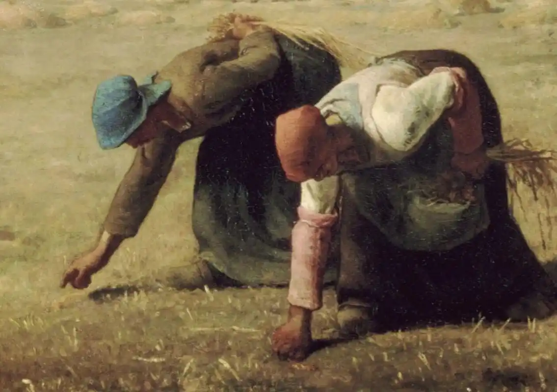 名画赏析:拾穗者,米勒画中的农妇也是女神 98拾穗者是法国巴比松派