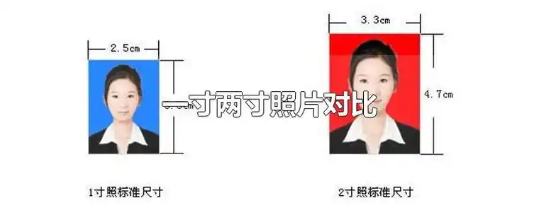 一寸两寸照片对比-最新一寸两寸照片对比整理解答