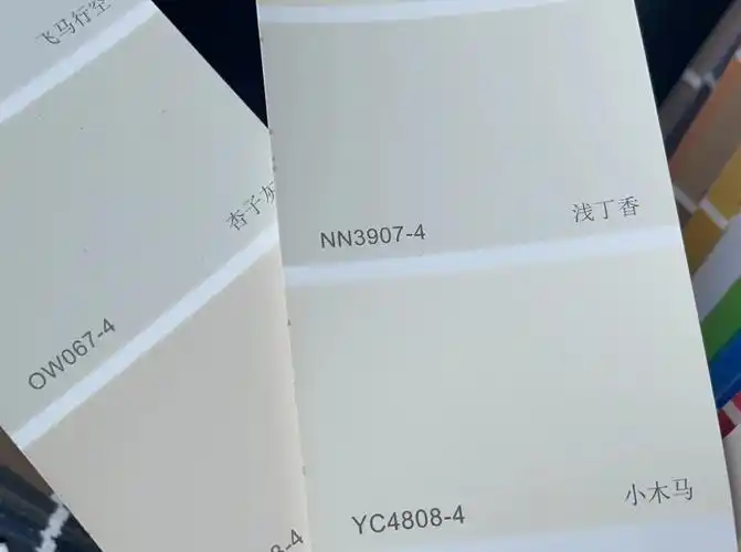 缙云美甲立邦选色卡我是真的谢