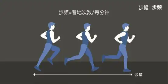 初级跑者练步频成熟跑者练步幅提升步幅的关键训练