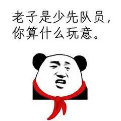 老子是少先队员,你算什么玩意.