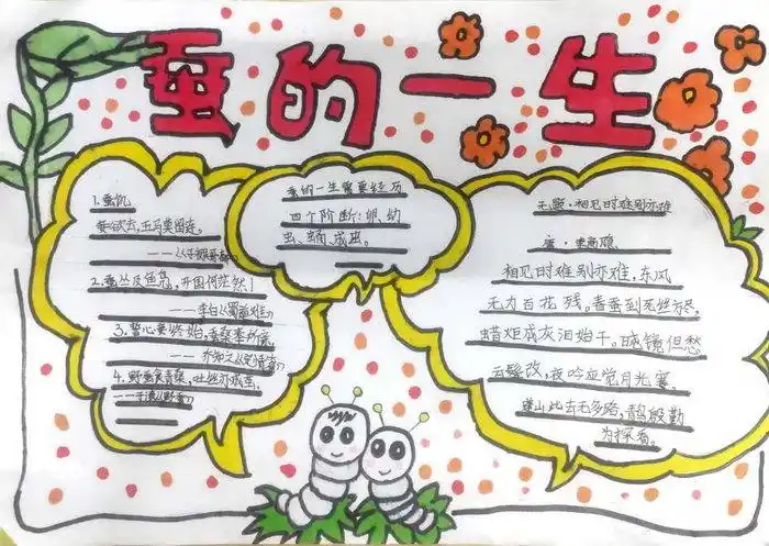 第一张蚕的一生手抄报三年级简便手抄报蚕的一生手抄报怎么画