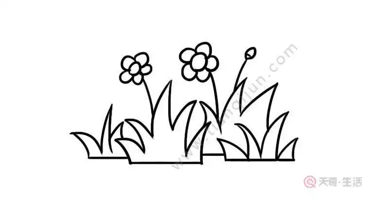 草花丛简笔画 简笔画图片大全-蒲城教育文学网