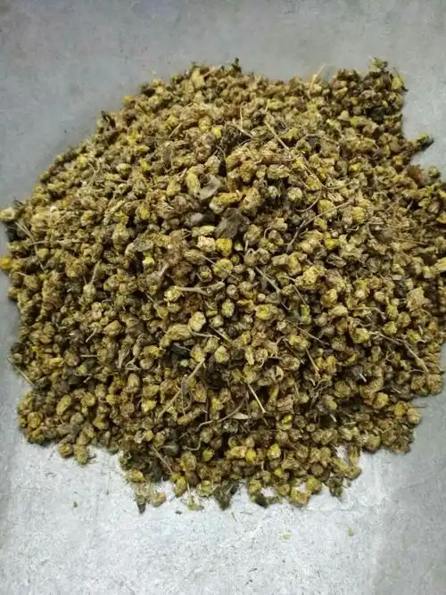 野菊花茶 野生菊花胎菊 野菊米2斤包邮