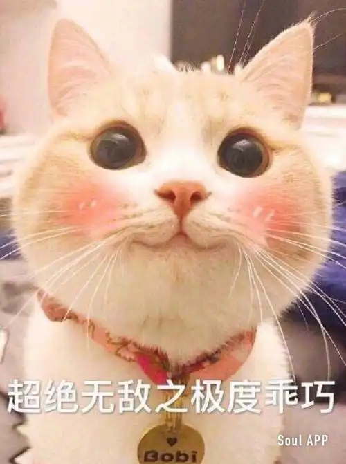 杂谈天涯 - 蚌埠论坛 - 蚌埠人上蚌埠论坛bbs 蚌埠地方人气社区