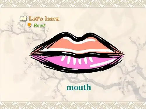 人教版精通版三年级英语上册《unit 3 look at my nose》课件ppt