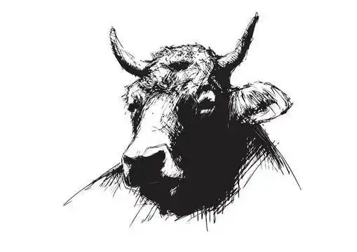 牛素描牛素描画法