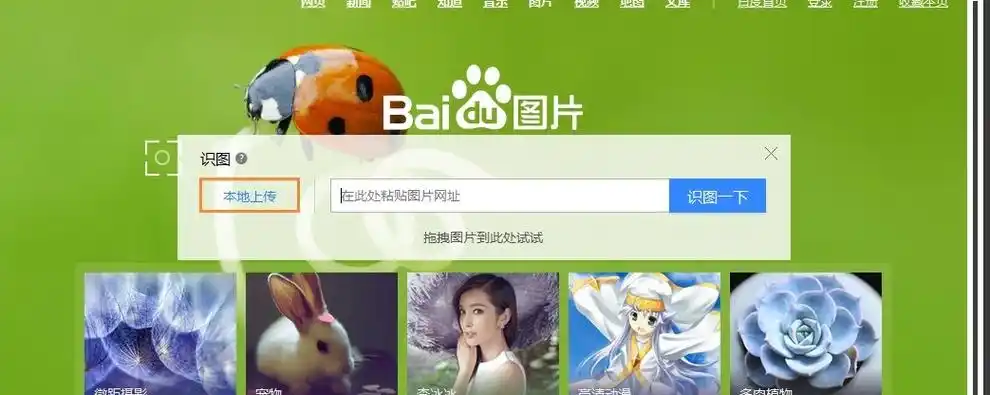 百度扫一扫识别图片在哪里百度扫一扫识图功能介绍