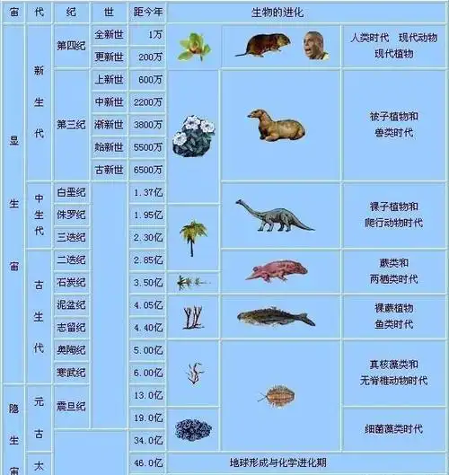 母亲地球孕育生命漫长的详细历程人类来之不易