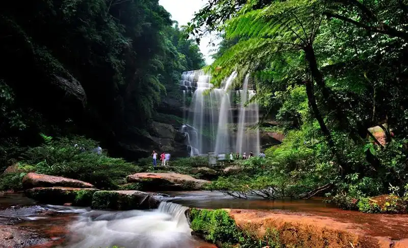 公园美景  作品描述: 位于贵州省赤水市四洞沟国家级风景名胜区境内