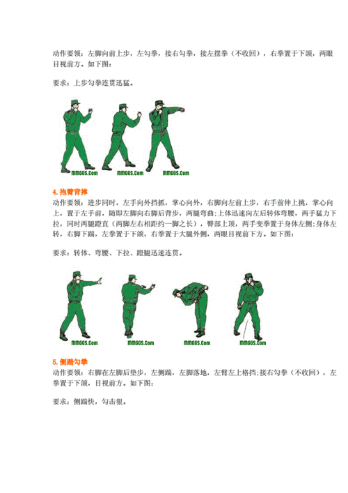 军体拳16式动作图解精要.doc