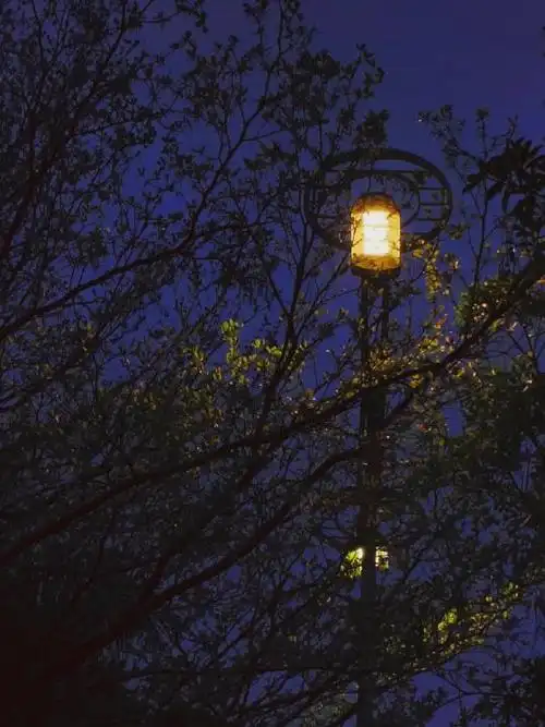 城市,夜晚的灯!