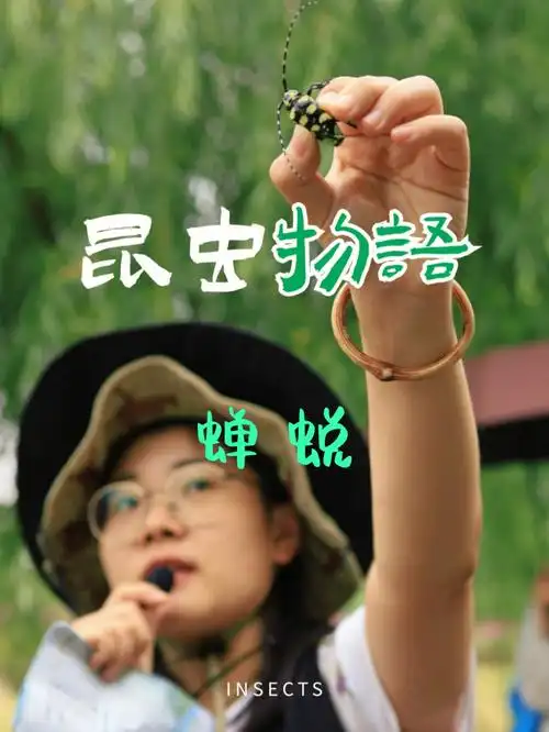 夏天常见的昆虫 #拍下夏天的蝉 某年秋天在南京的大山里拍到的蝉蜕