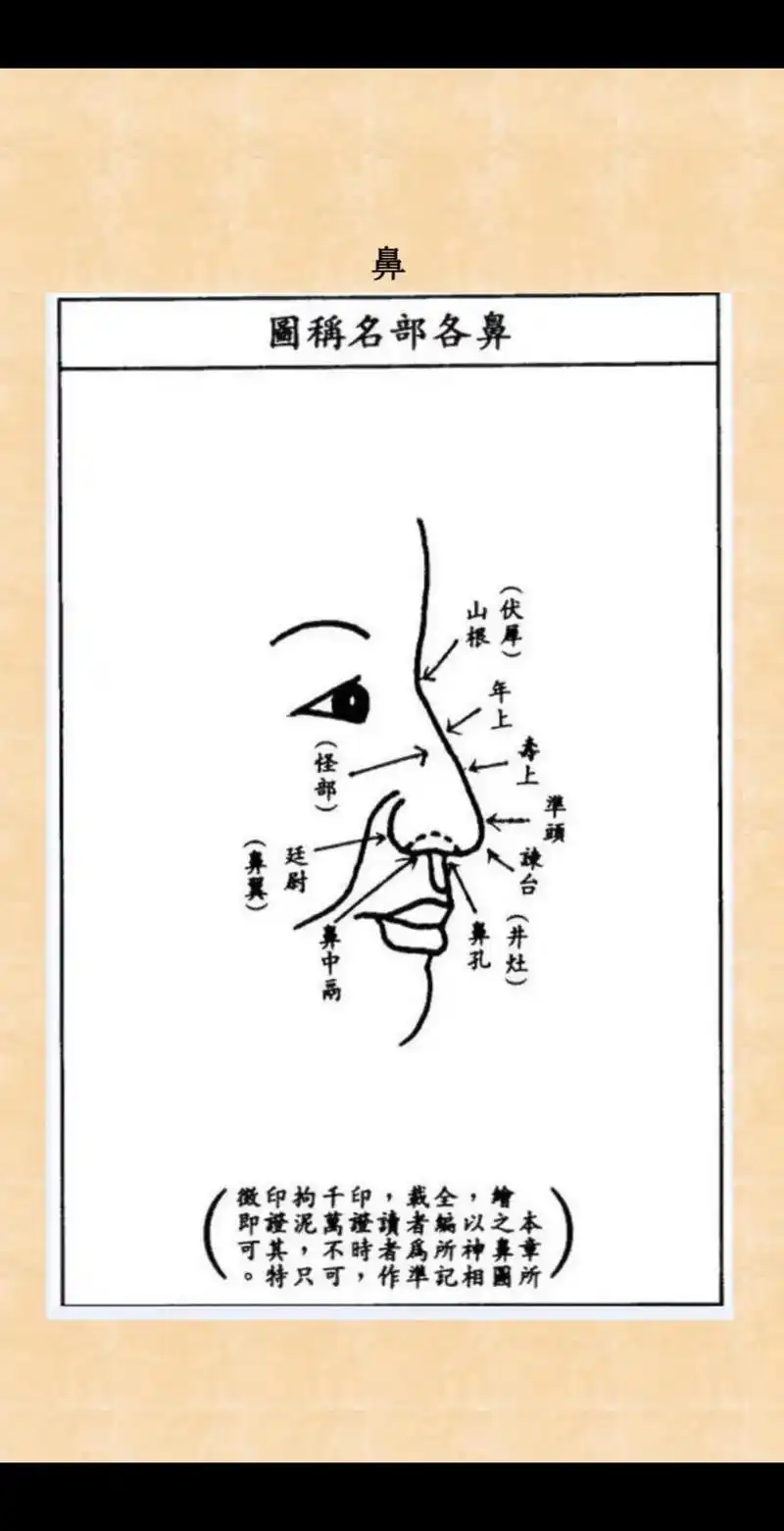 相由心生—面相鼻