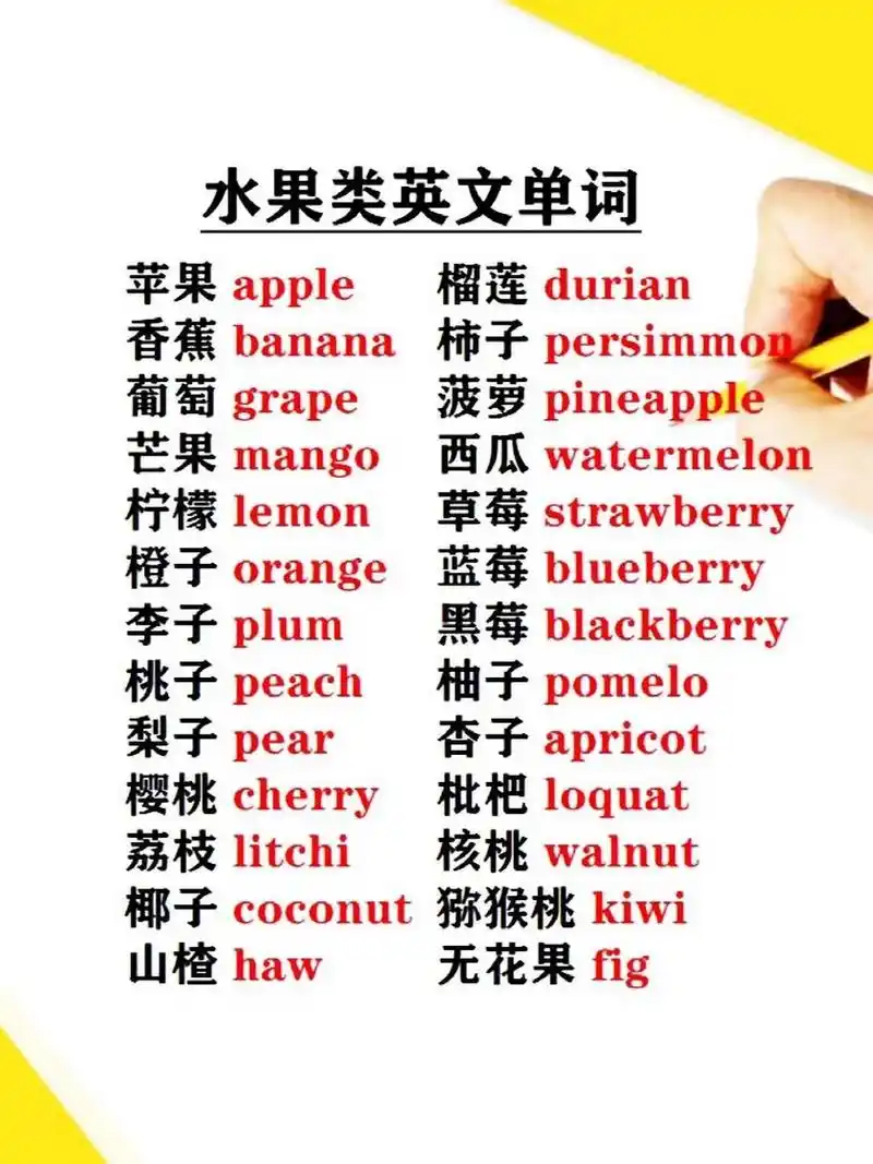 各种水果0391英文单词 各种实用,时尚,热门,考试,辣妈,带娃英语
