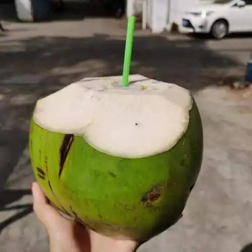 现摘海南特产新鲜带皮大椰青孕妇孩子水果冬季煲汤椰子鸡椰子海南椰青