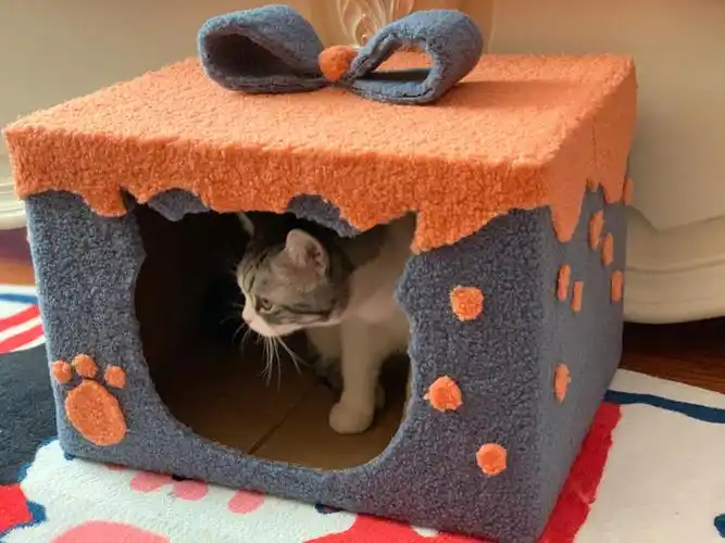 自制猫窝