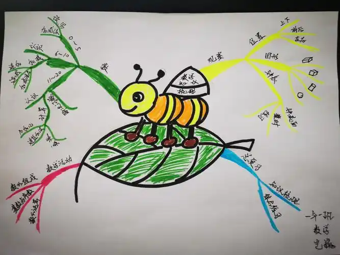 红阳小学教师手绘思维导图作品展示(一) - 美篇