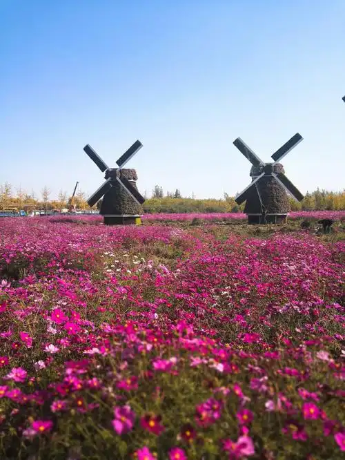 7015#西安沣东农博园