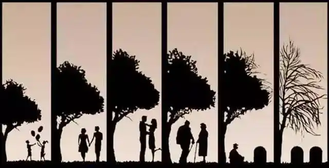 人, 一辈子, 六张图(发人深省)