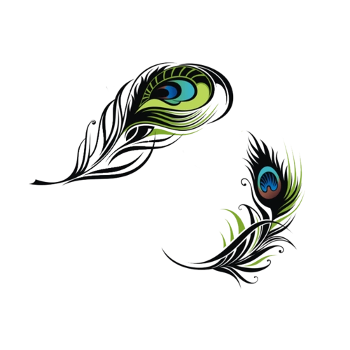 孔雀羽毛图片大全