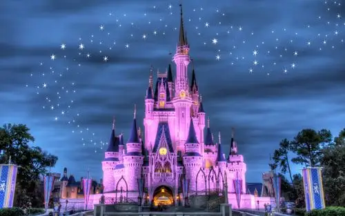 迪斯尼乐园,城堡,夜晚,灯光,星星,紫色风格壁纸,高清图片