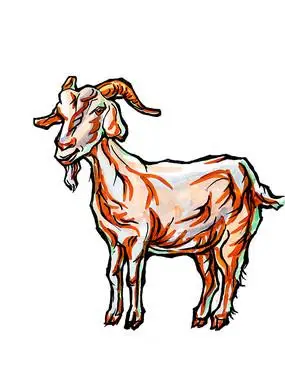 羊原创手绘稿