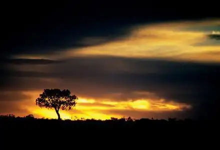 美丽的风景_百度图片搜索