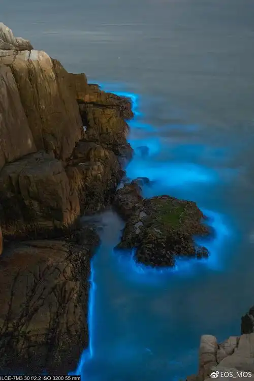 舟山花鸟岛荧光海摄影攻略与路线