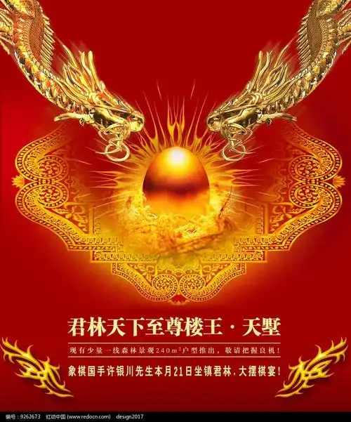 双龙戏珠君临天下经典传统龙纹图案