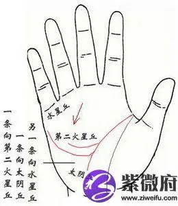 智慧线末端分叉手相图解