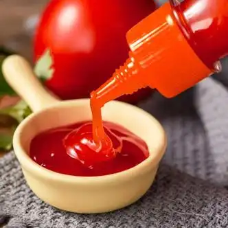 海天番茄酱0脂肪酱料瓶零轻蕃卡番茄沙司无添加蔗糖剂 番茄沙司260g2