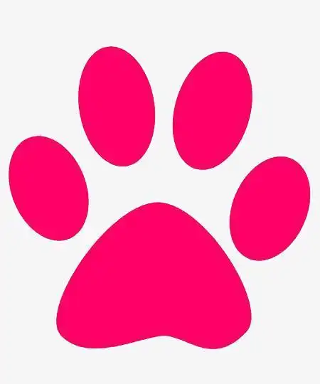 小猫脚印简笔画步骤