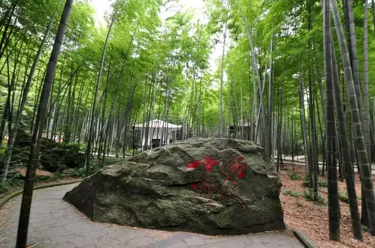 茶山竹海:一部《十面埋伏》带火的竹林旅游胜地,到了这里,去感受江湖