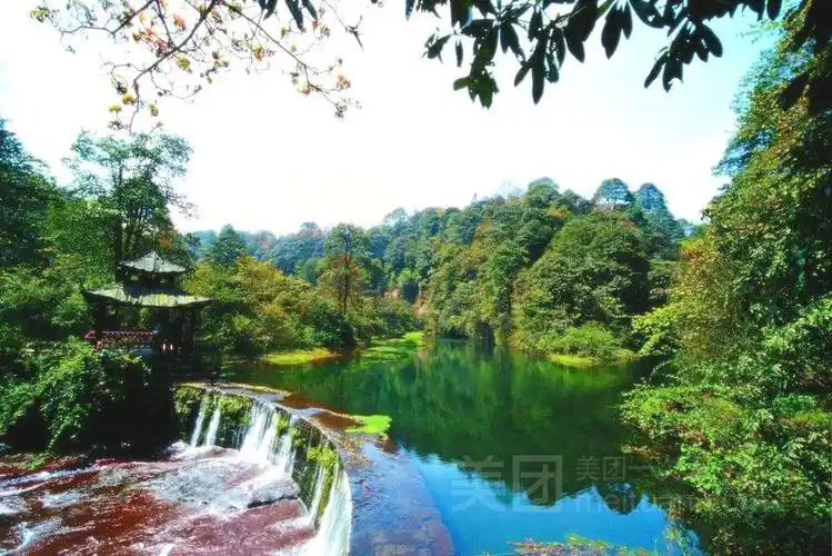 千岛湖森林氧吧