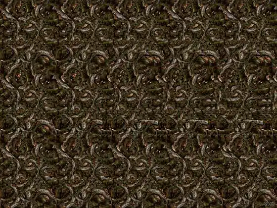 隐身于三维图中的动物们(神奇三维立体图1)