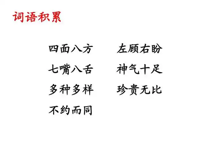 词语积累 四面八方 七嘴八舌 左顾右盼 神气十足 多种多样 不约而同