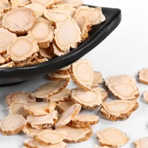 节能型烘干机猫粮狗粮烘干