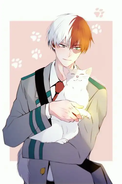 动漫图片:《我的英雄学院》角色轰焦冻头像图集13p