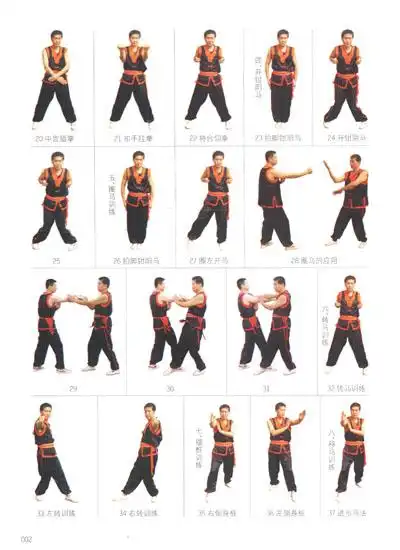 国术丛书:咏春拳入门必读(挂图)(附光盘1张)