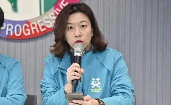 林静仪称自己不是"陈柏惟替代品",台湾网友列举其六大罪状