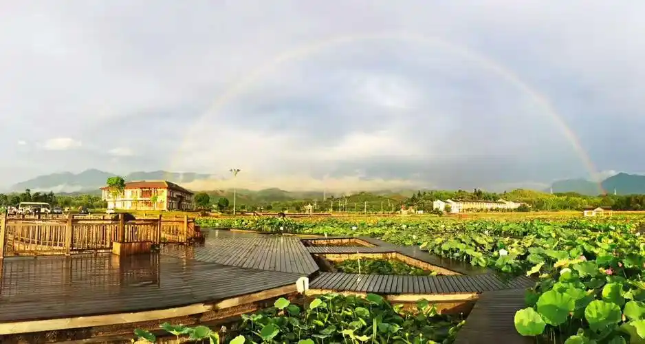 建宁县修竹村——修竹荷塘
