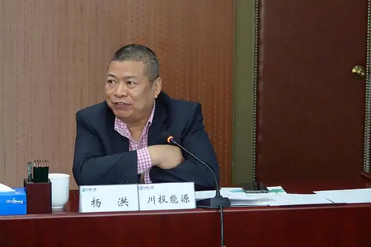 川投能源杨洪总经理出席三峡新能源引战成功后首次股东见面会