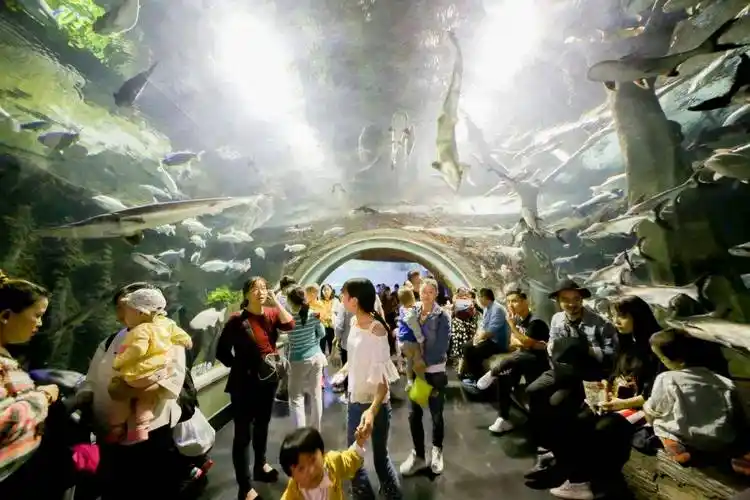 逃离酷暑丨双流海滨城,清凉一夏的天堂!