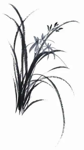 国画水墨兰花