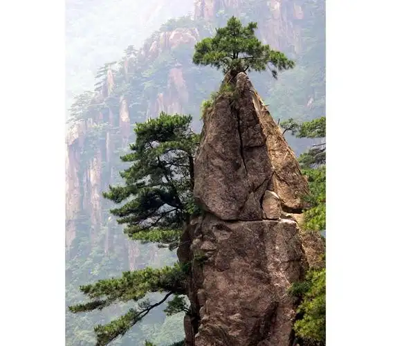 安徽黄山梦笔生花