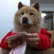 180_180gif 动态图 动图